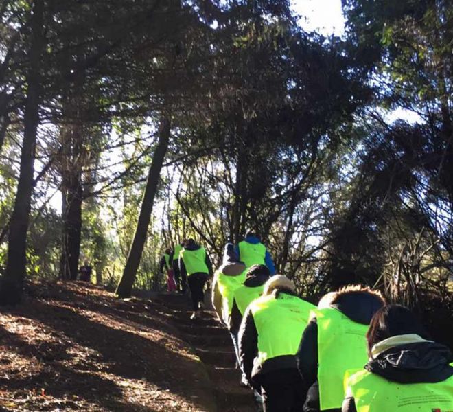 equipo-valores