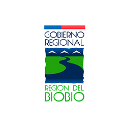 gorebiobio-web