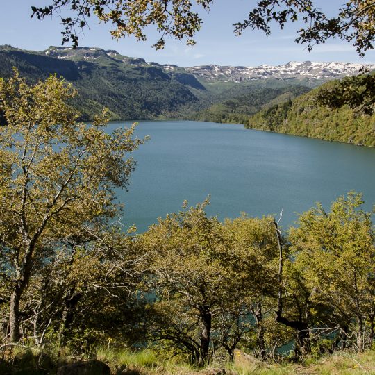 http://iluvs.cl/wp-content/uploads/2017/07/Altos-del-Biobio-14-540x540.jpg