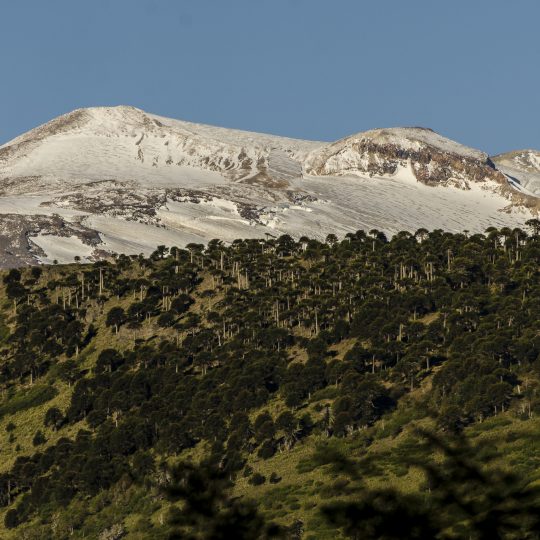 http://iluvs.cl/wp-content/uploads/2017/07/Altos-del-Biobio-9-2-540x540.jpg