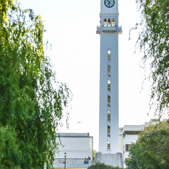 http://iluvs.cl/wp-content/uploads/2017/07/Universidad-de-Concepcion-Patrimonio-Cultural-24-540x540.jpg