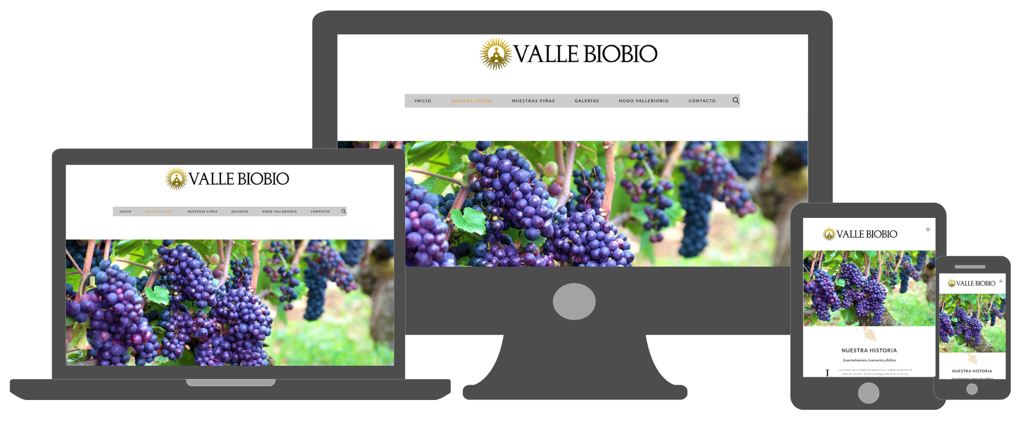 http://iluvs.cl/wp-content/uploads/2017/11/vallebiobio-responsive.jpg