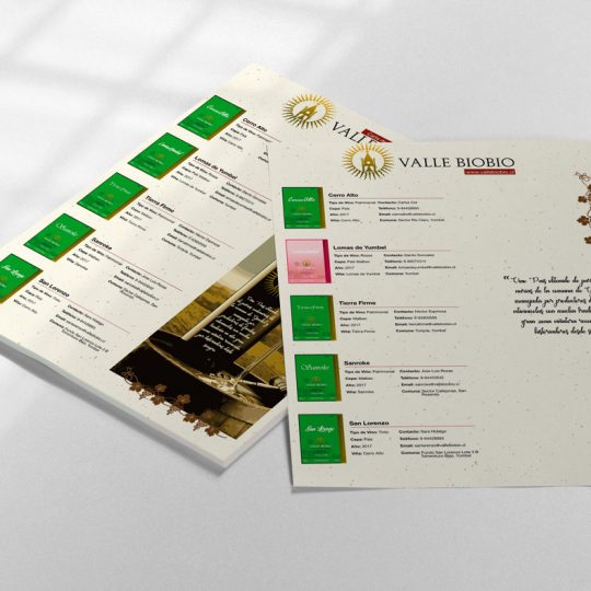 http://iluvs.cl/wp-content/uploads/2018/01/mockup-carta-devinos-540x540.jpg