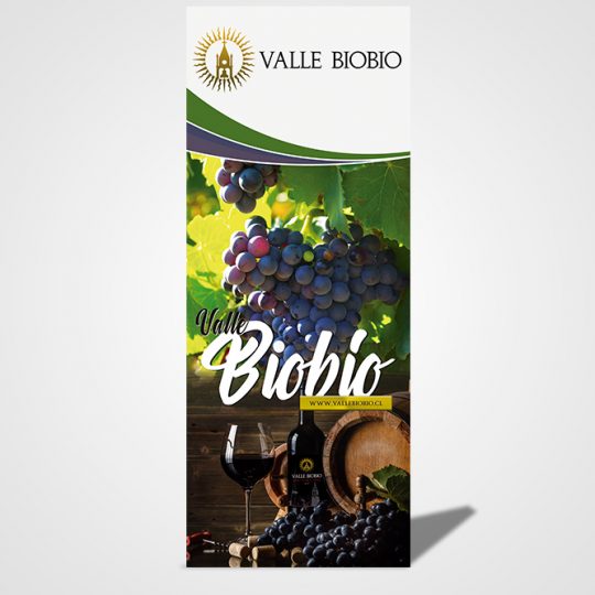 http://iluvs.cl/wp-content/uploads/2018/01/pendon-vallebiobio-540x540.jpg