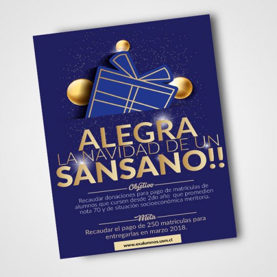 http://iluvs.cl/wp-content/uploads/2018/09/afiche-navidad-red-exalumnos-usm-540x540.jpg
